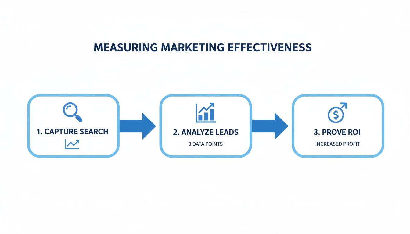 Infographic illustrating a three-step process for measuring marketing effectiveness: capture search, analyze leads, and prove ROI.